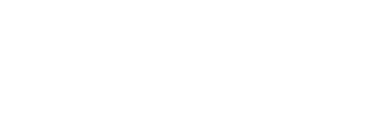 EliteVolt Electrician logo